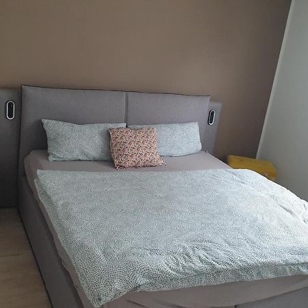 Boardingappartement Windeckblick, Ruhige, Zentrale Lage Mit Grossem Suedbalkon Bühl Eksteriør bilde