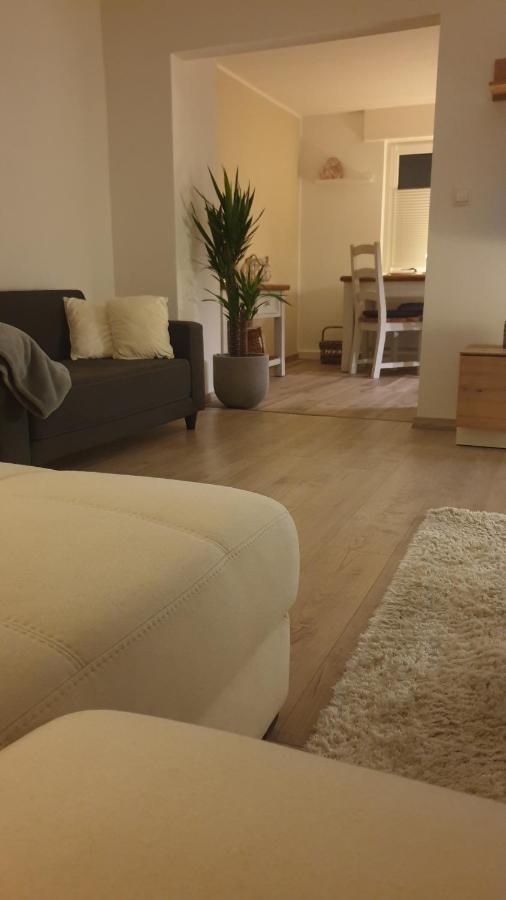 Boardingappartement Windeckblick, Ruhige, Zentrale Lage Mit Grossem Suedbalkon Bühl Eksteriør bilde
